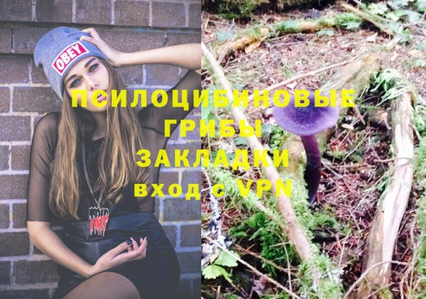герыч Алзамай