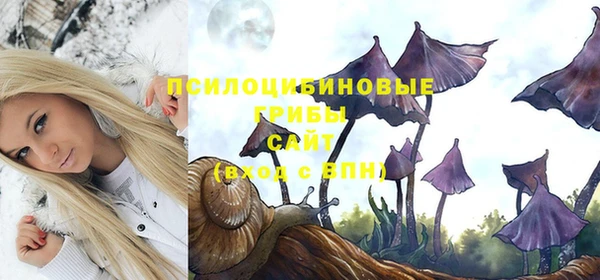 кокс Протвино
