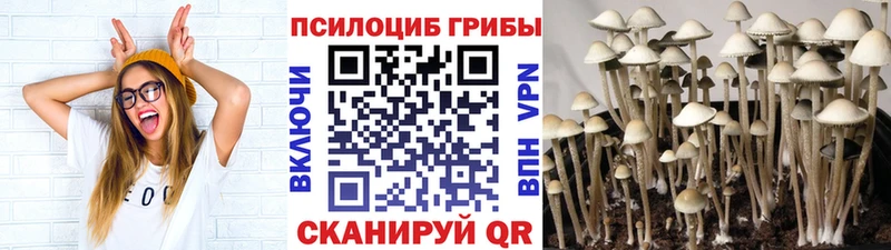 мега Слободской Псилоцибиновые грибы ЛСД